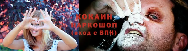 индика Абдулино