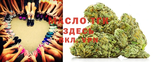 индика Абдулино